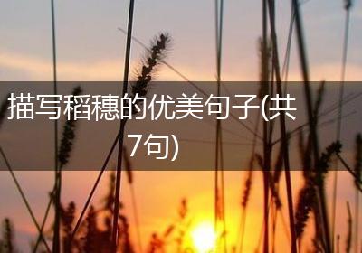 描写稻穗的优美句子(共7句)