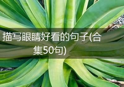 描写眼睛好看的句子(合集50句)