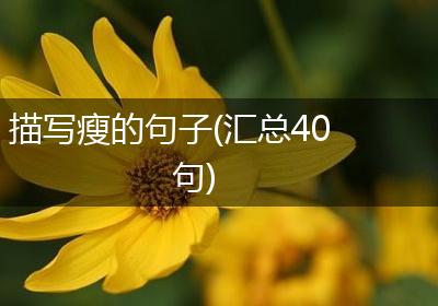 描写瘦的句子(汇总40句)