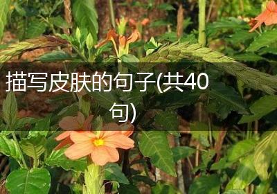 描写皮肤的句子(共40句)