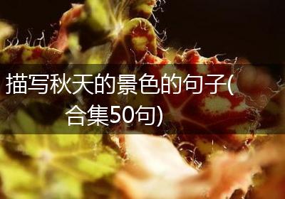 描写秋天的景色的句子(合集50句)