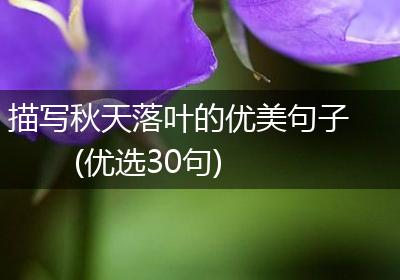 描写秋天落叶的优美句子(优选30句)