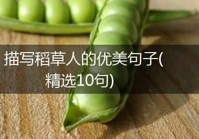 描写稻草人的优美句子(精选10句)