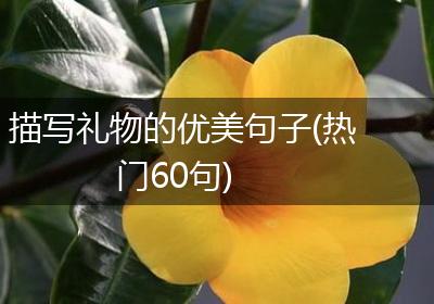 描写礼物的优美句子(热门60句)