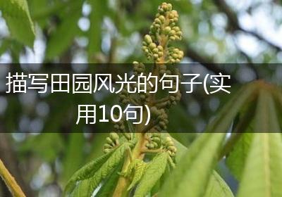 描写田园风光的句子(实用10句)