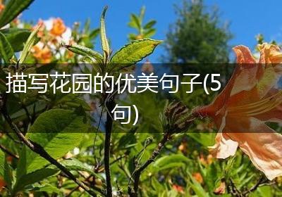 描写花园的优美句子(5句)