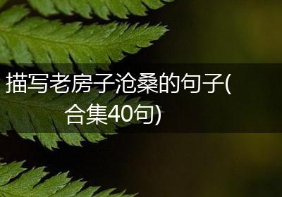 描写老房子沧桑的句子(合集40句)