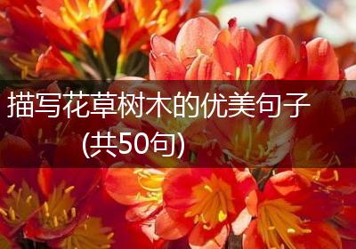 描写花草树木的优美句子(共50句)