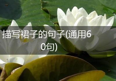 描写裙子的句子(通用60句)