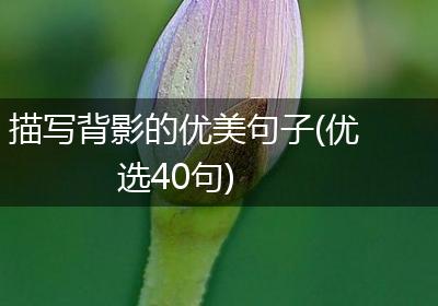 描写背影的优美句子(优选40句)