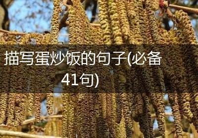 描写蛋炒饭的句子(必备41句)