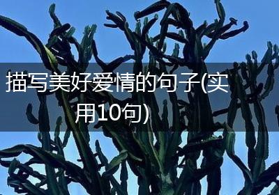 描写美好爱情的句子(实用10句)