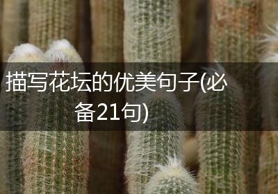 描写花坛的优美句子(必备21句)