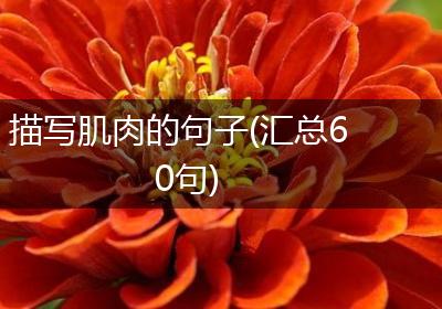 描写肌肉的句子(汇总60句)