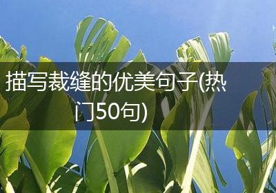 描写裁缝的优美句子(热门50句)