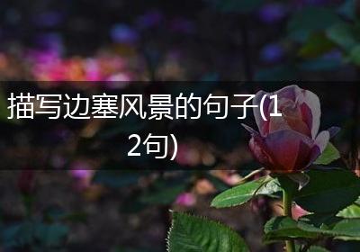 描写边塞风景的句子(12句)