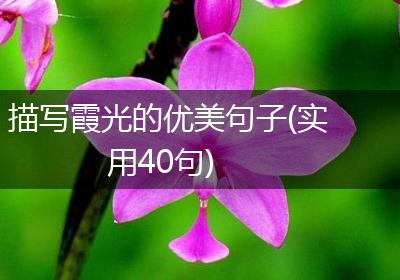 描写霞光的优美句子(实用40句)