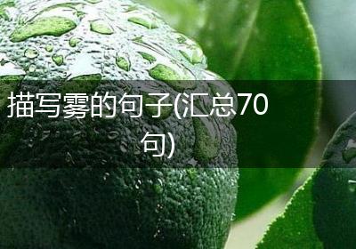 描写雾的句子(汇总70句)