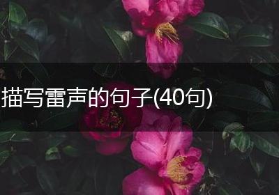 描写雷声的句子(40句)