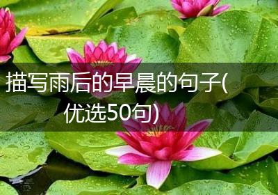 描写雨后的早晨的句子(优选50句)