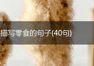 描写零食的句子(40句)