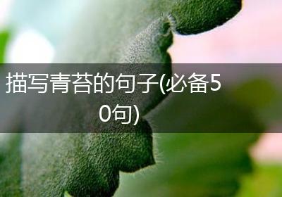 描写青苔的句子(必备50句)