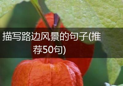 描写路边风景的句子(推荐50句)