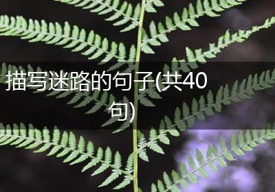 描写迷路的句子(共40句)