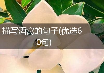 描写酒窝的句子(优选60句)