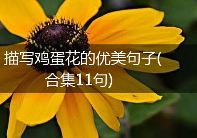 描写鸡蛋花的优美句子(合集11句)
