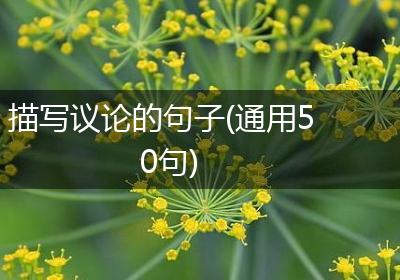 描写议论的句子(通用50句)