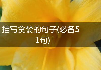 描写贪婪的句子(必备51句)