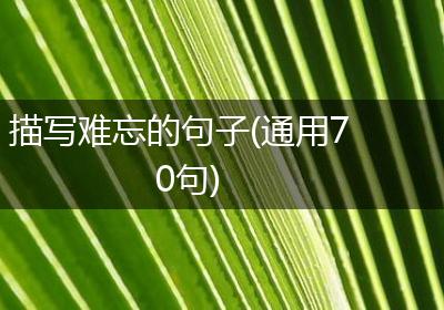 描写难忘的句子(通用70句)