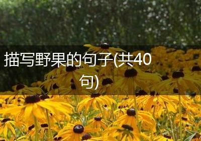 描写野果的句子(共40句)