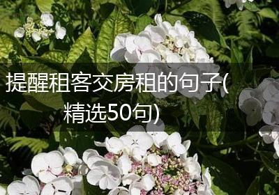 提醒租客交房租的句子(精选50句)