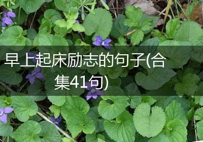 早上起床励志的句子(合集41句)