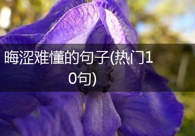 晦涩难懂的句子(热门10句)