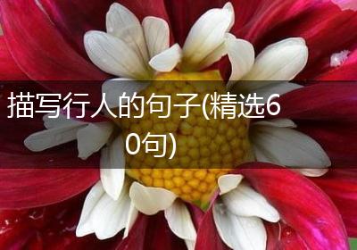描写行人的句子(精选60句)