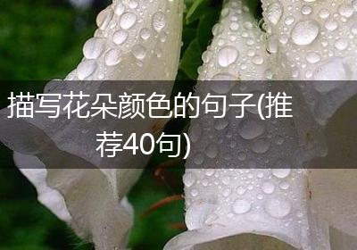 描写花朵颜色的句子(推荐40句)