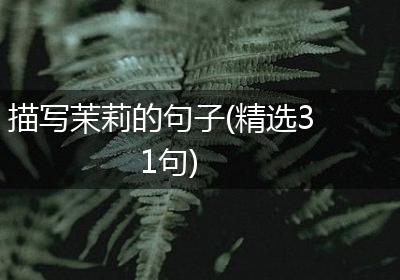 描写茉莉的句子(精选31句)