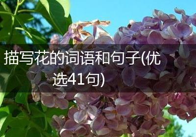 描写花的词语和句子(优选41句)