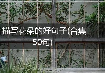 描写花朵的好句子(合集50句)