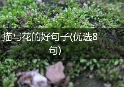 描写花的好句子(优选8句)