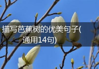 描写芭蕉树的优美句子(通用14句)