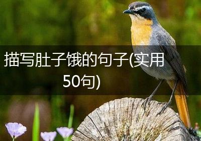 描写肚子饿的句子(实用50句)