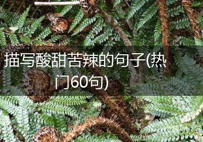 描写酸甜苦辣的句子(热门60句)
