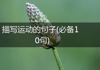 描写运动的句子(必备10句)