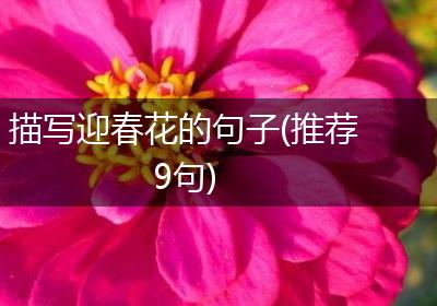 描写迎春花的句子(推荐9句)
