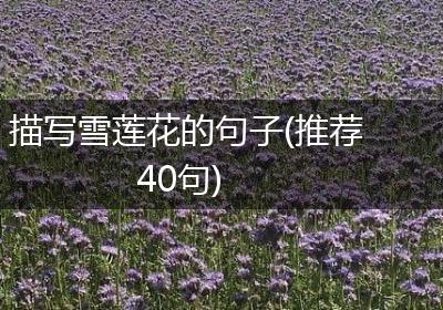 描写雪莲花的句子(推荐40句)