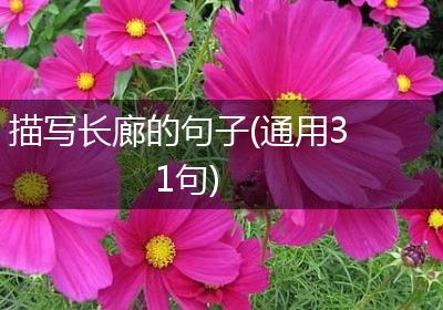 描写长廊的句子(通用31句)